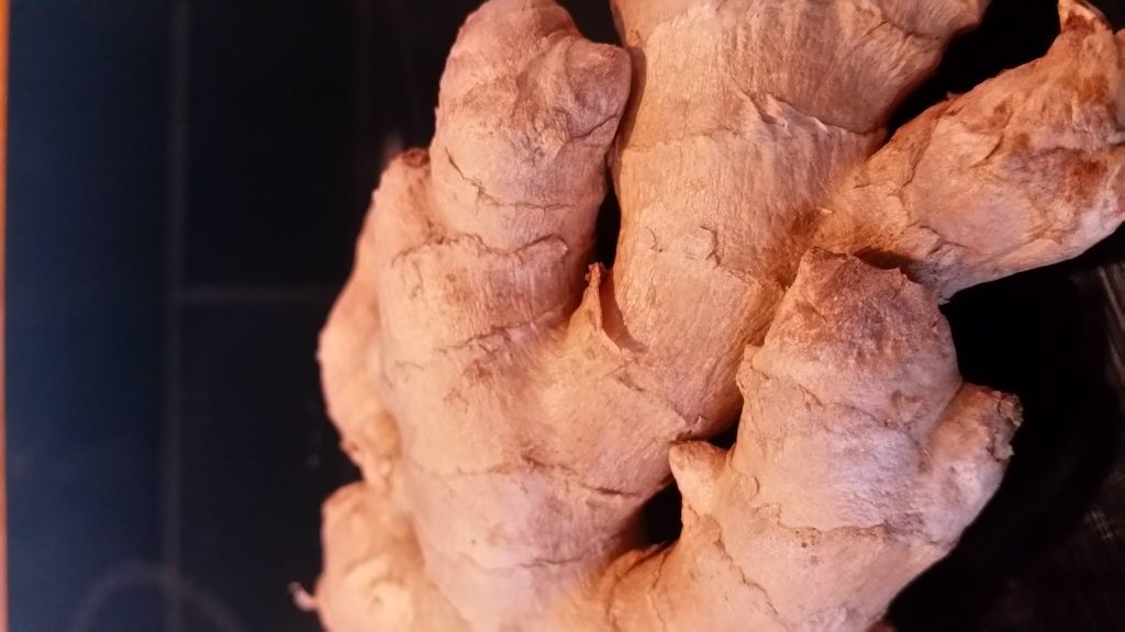 Root ginger can be grown in Britain says gardening journalist Alice Whitehead